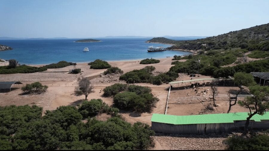 Cesme: Islands and Bays Boat Trip with BBQ Lunch - BBQ lunch onboard: fish or chicken with pasta and seasonal salads
