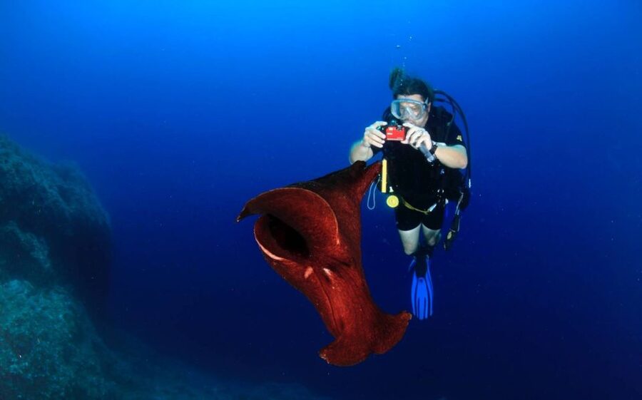 Cesme: Scuba Diving Experience - Getting set with the equipment (and what to bring yourself)