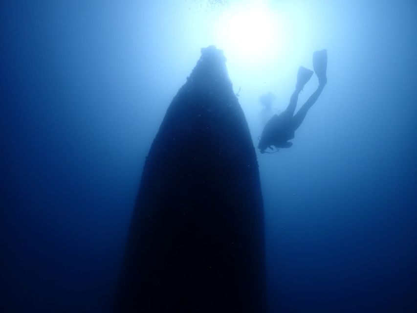 Cesme: Scuba Diving Experience - Language support and what to expect from the team