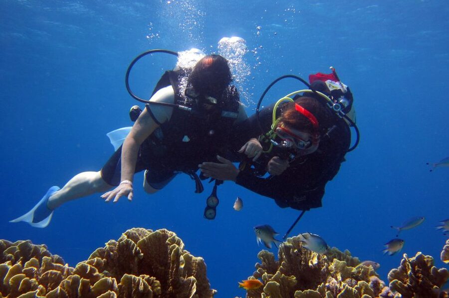 Cesme: Scuba Diving Experience - Price and value: is $117 fair for an 8-hour sea day?