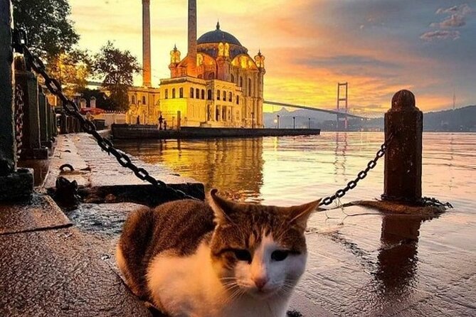 Circle Istanbul (Extraordinary Istanbul) - Bosphorus Strait Cruise: Worth It, But Manage Expectations