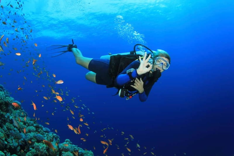 City of Side: Scuba Diving Underwater Museum with Pickup - My practical recommendation: book if you want guidance and flexibility