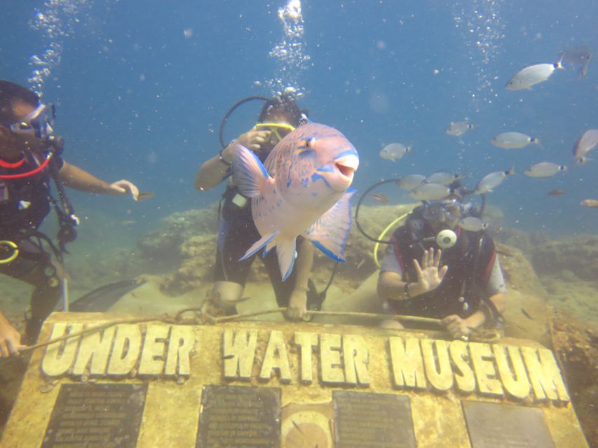 City of Side: Scuba Diving with Lunch - The two underwater sessions: how they feel and what to look for