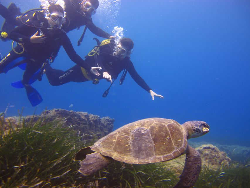 City of Side: Underwater Museum Scuba Diving Visit - Your First Underwater Session: What 110 Sculptures Feel Like