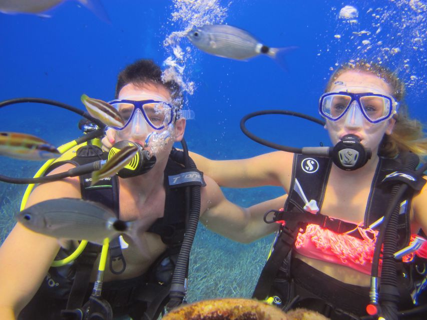 City of Side: Underwater Museum Scuba Diving Visit - Second Underwater Session: More Time for the Same Museum