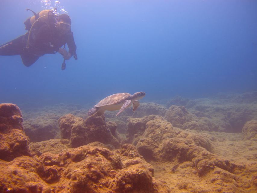 City of Side: Underwater Museum Scuba Diving Visit - Snorkeling Option, Age Limits, and When Scuba Is Not for You
