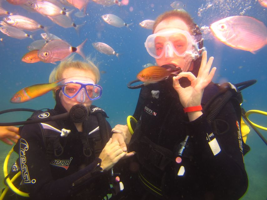City of Side: Underwater Museum Scuba Diving Visit - Price and Value: Is $50 a Fair Deal?