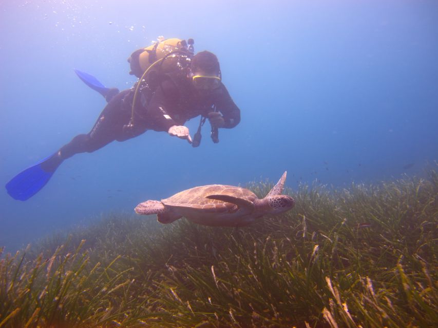 City of Side: Underwater Museum Scuba Diving Visit - Pickup, Walk to the Harbor, and What Timing Feels Like