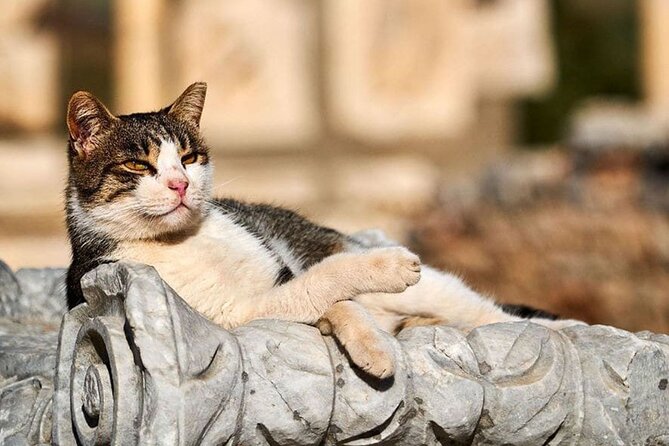 Daily Ephesus and Virgin Mary House Tour with Lunch Included - Pickup from Kusadası, Kusadası Cruise Port, or Selçuk