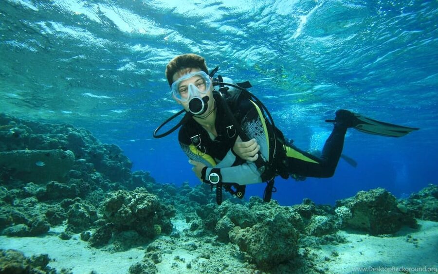 Diving Tour from Alanya & Side with Lunch - 2 Dives Included - Quick takeaways (before you go)
