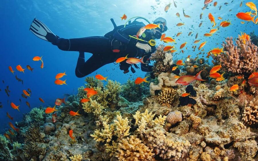Diving Tour from Alanya & Side with Lunch - 2 Dives Included - Side to the boat, and how the day really runs (7 hours total)