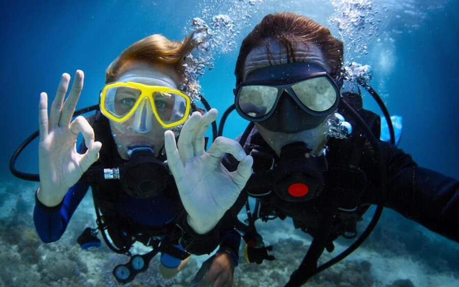 Diving Tour from Alanya & Side with Lunch - 2 Dives Included - Second underwater stop at 12 meters: deeper structure and more variety