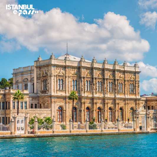 Dolmabahce Palace & Harem Skip-the-Line Entry & Audio Guide - How the skip-the-line entry works at Dolmabahce Palace