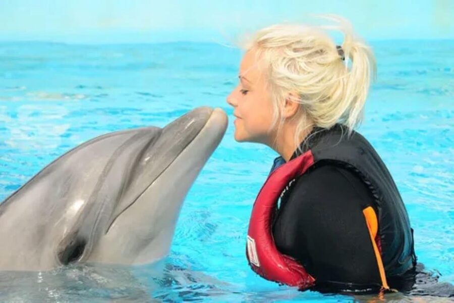 Dolphin Show Tour with Transfer from Alanya & Side - Price and value: what your $41 actually buys
