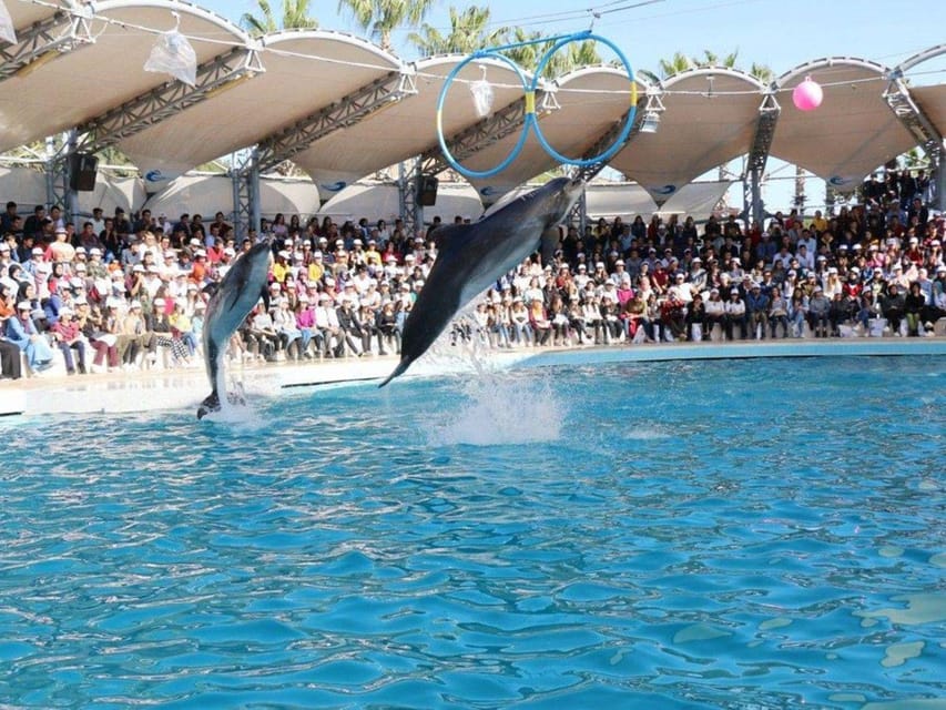 Dolphin Show Tour with Transfer from Alanya & Side - Getting from Alanya and Side to the show, without chaos