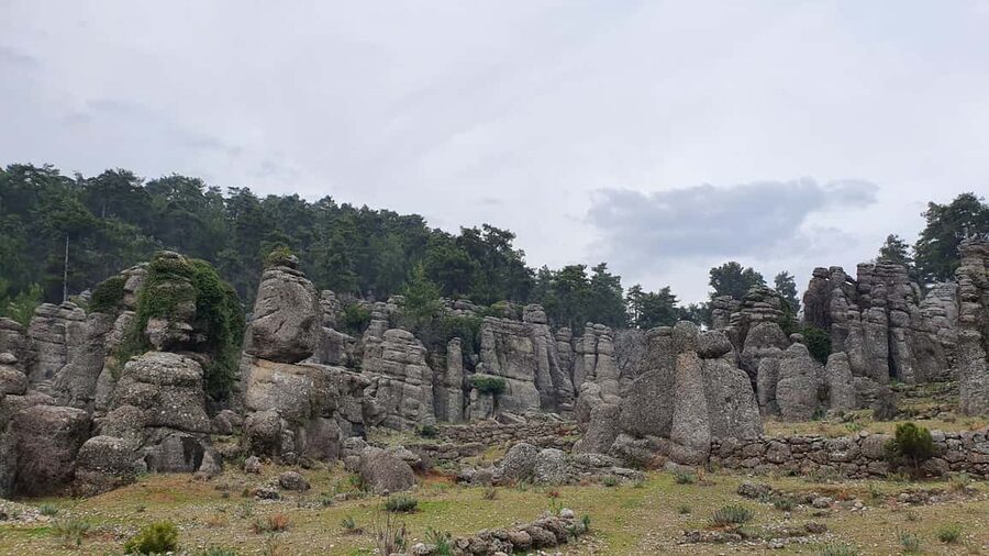 Eagle - Tazı Canyon - Selge Ancient City & Man Rocks Tour - Man Rocks (Avatar Land): Rock Figures in the Forest