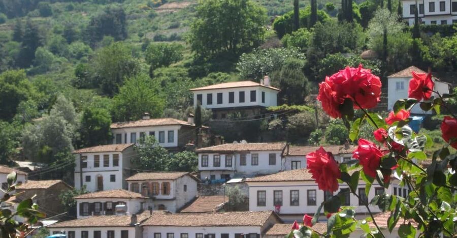 Ephesus and Sirince Tour from Izmir / Kusadasi - How pickup from Izmir or Kusadasi actually helps