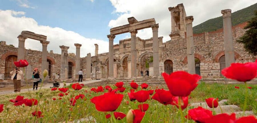 Ephesus and Virgin Mary Day Trip by Plane from Istanbul - Price and logistics: what $424 buys you