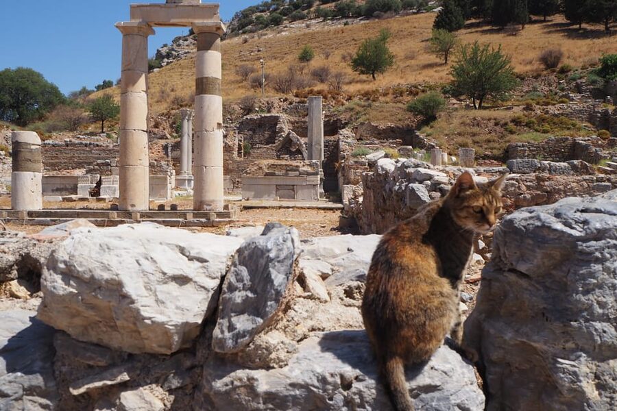 Ephesus: Half-Day Tour from Kusadasi - The world’s first advertisement: a cheeky break from solemn ruins