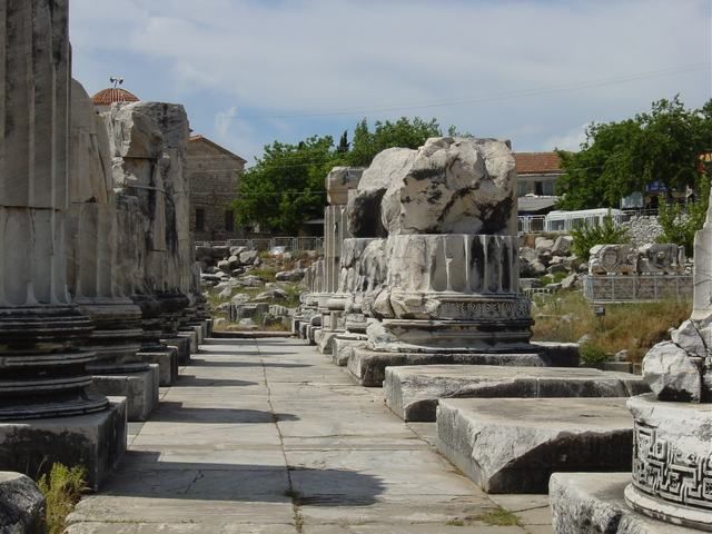 Ephesus, Priene, Miletos and Didyma Tour - The Guide and Driver Factor: How the Day Feels Personal