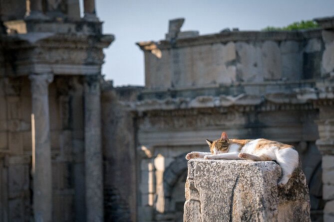 Ephesus: Private Tour with Skip-The-Line & Less Walking - Ephesus Ancient City in a tight time window: what you should focus on
