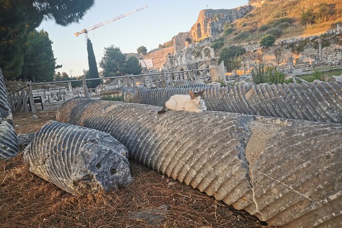 Ephesus Walking Tour - Who This Ephesus Walk Fits Best