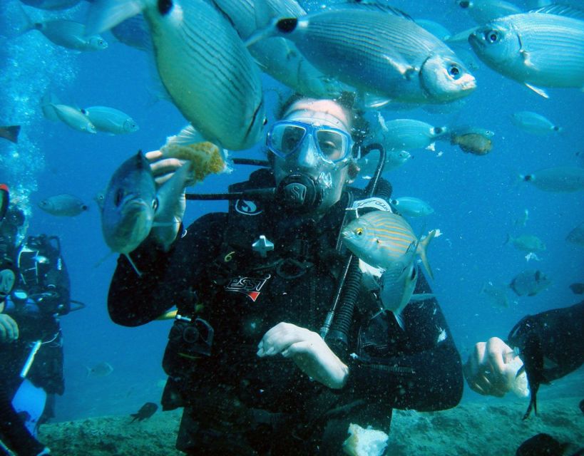 Fethiye: 2 Guided Scuba Dives with Lunch and Hotel Transfers - Two dives with lunch in between: how the day is paced