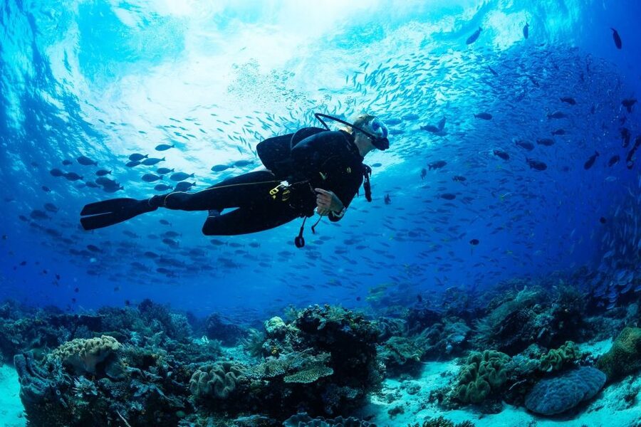 Fethiye: Professional Scuba Diving with Lunch - A Smooth Fethiye Scuba Day With Lunch