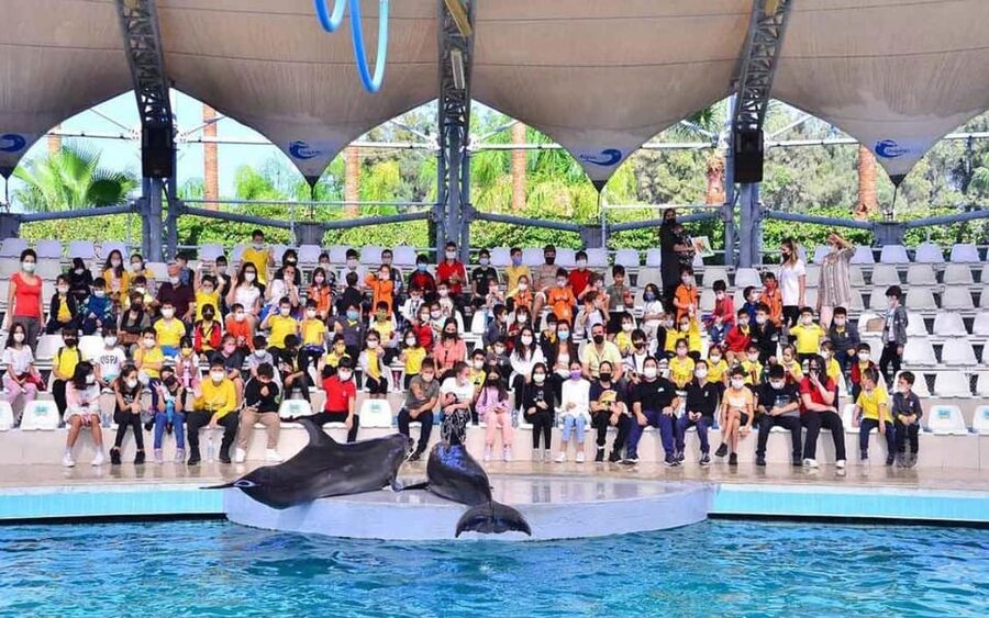 From Belek: Dolphin Show with Transfers - Price and Value: Is $47 Reasonable for This Dolphin Experience?