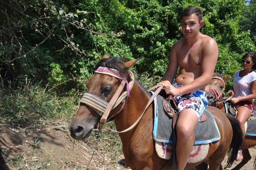 From Bodrum/Gümbet: Guided Horseback Riding Expereince - Horse Welfare: The One Consideration You Should Not Ignore