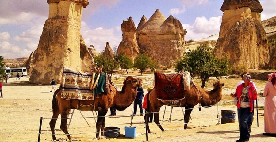 From Cappadocia: Sunrise or Sunset Camel Riding Day Trip - Key Takeaways Before You Ride