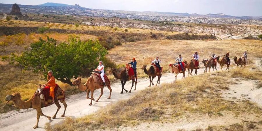 From Cappadocia: Sunrise or Sunset Camel Riding Day Trip - Price and Value: Is $89 Worth Two Hours on a Camel?