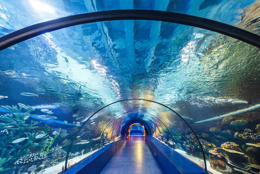 From City of Side: Antalya Aquarium Tour, Ticket & Transfer - Key Highlights You Should Know Before Going