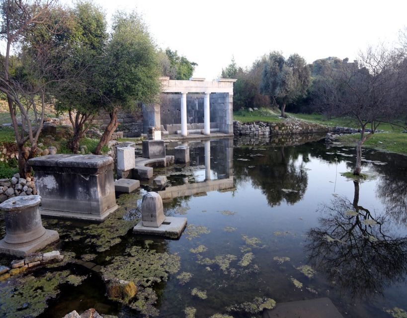 From Fethiye: Dalyan Day Trip with Mud Bath and Turtle Beach - Who This Tour Fits Best