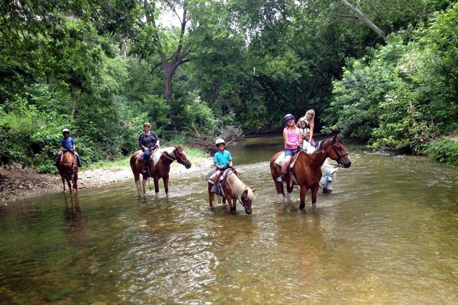 From Fethiye: Horse Riding Adventure - Price and Value: Why $53 Can Make Sense Here