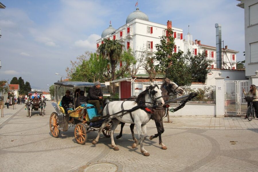 From Istanbul: Full-Day Princes Island Tour with Lunch - Sailing the Sea of Marmara and Seeing Istanbul From the Water