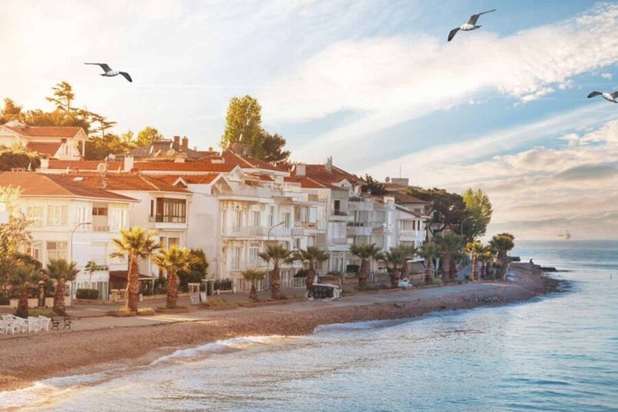 From Istanbul: Full-Day Princes Island Tour with Lunch - Büyükada Free Time: Ottoman Mansions, Bikes, and Electric Rides
