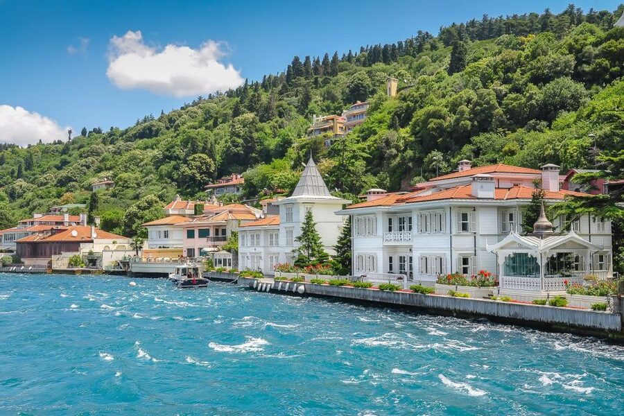 From Istanbul: Full-Day Princes Island Tour with Lunch - Ottoman Mansions and the Best Way to Spend Your 2-Hour Window