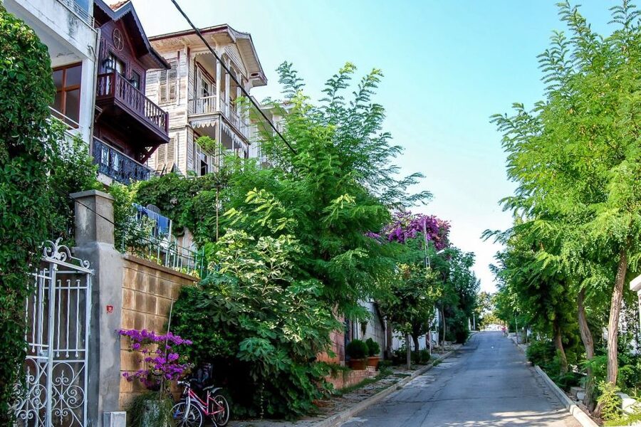 From Istanbul: Full-Day Princes Island Tour with Lunch - Getting There: Coach Ride, Port Meet, and the Deluxe Boat