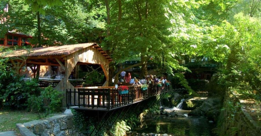 From Istanbul: Guided Day Trip to Sapanca and Masukiye - Key Points to Know Before You Go