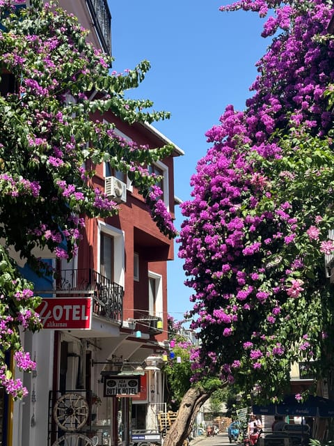 From Istanbul: Princess Islands Guided Tour - Büyükada’s 3-hour stop: bikes, hiking, and a church viewpoint