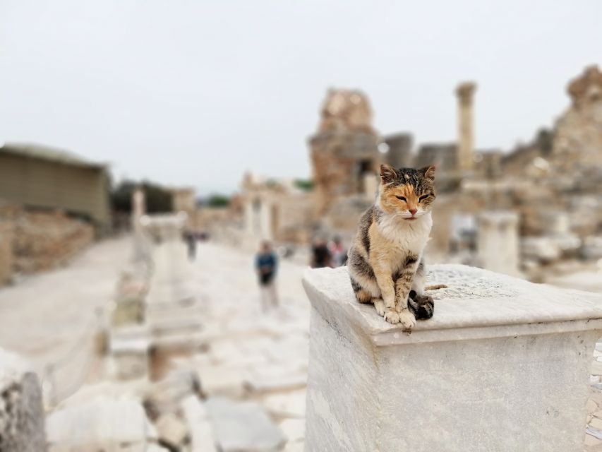 From Istanbul: Private Guided Day Trip to Ephesus with Lunch - Flying from Istanbul to Ephesus: the smart time-saver