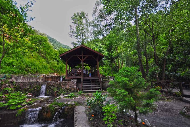 From Istanbul: Sapanca and Masukiye Day Trip with Lunch - Maşukiye and ATV quad safari, this is the adrenaline core