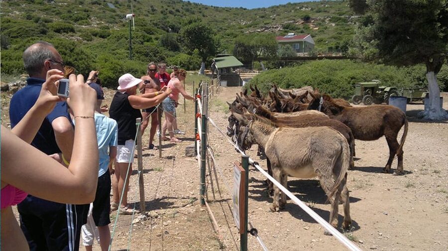 From Izmir: Full Day Boat Trip around Cesme with BBQ Lunch - From Izmir Pickup to Cesme: Getting There Is Half the Ease