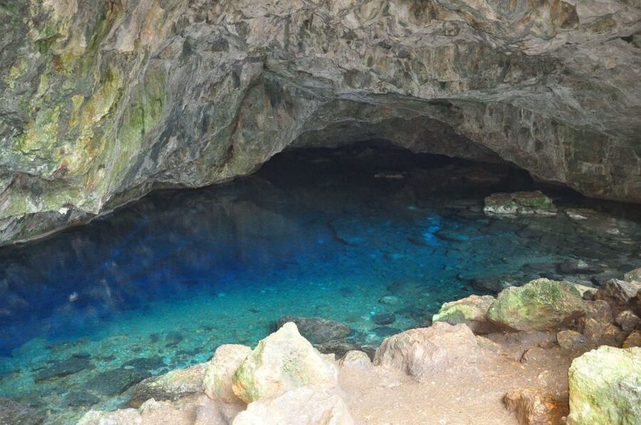 From Kusadasi: Full-Day National Park Jeep Tour with Lunch - English guide plus the entertainment factor on the trail
