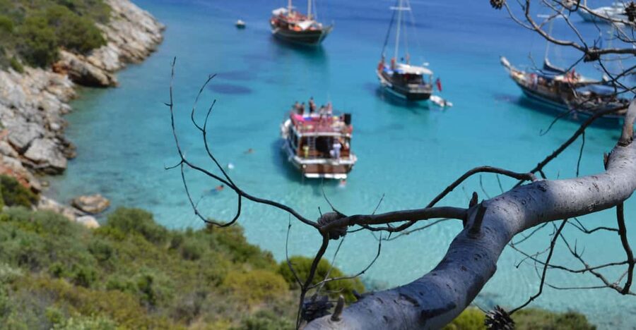 Full-Day Orak Island Boat Trip from Bodrum - Key highlights