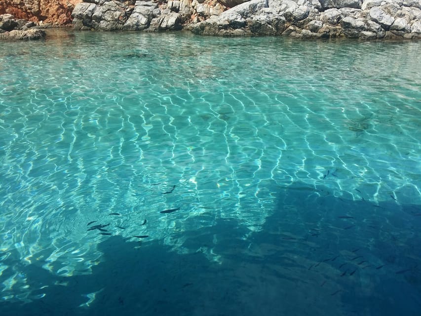 Full-Day Orak Island Boat Trip from Bodrum - Sailing to Orak Island, this is where the day opens up