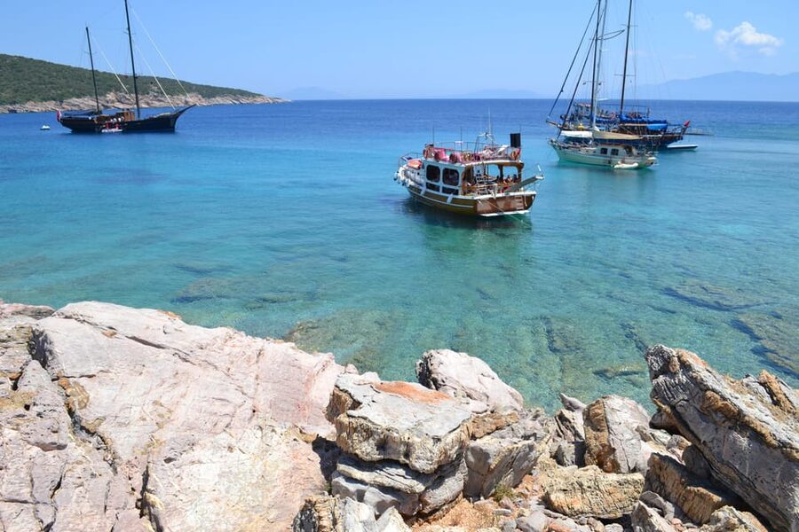 Full-Day Orak Island Boat Trip from Bodrum - Turkish tea and biscuits, plus melon to close out the day