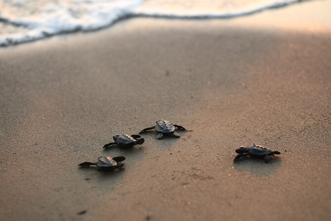 Full Day Turtle Beach Tour With Lake and Mud Baths From Marmaris - The Dalyan River Boat Ride and Blue Crab Scenery