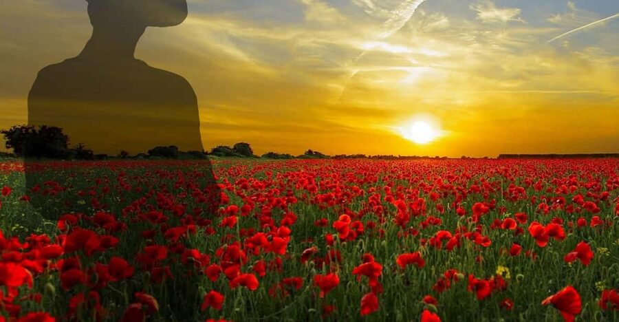 Gallipoli Full-Day Tour from Istanbul - Arı Burnu, Mehmetçik Monument, and Johnston’s Jolly: A Front-Line Reading